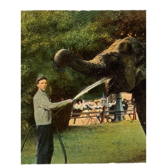 Antique 1912 Ephemera Posted Signed Postcard Best Wishes Elephant Handler Litho - Picture 1 of 8
